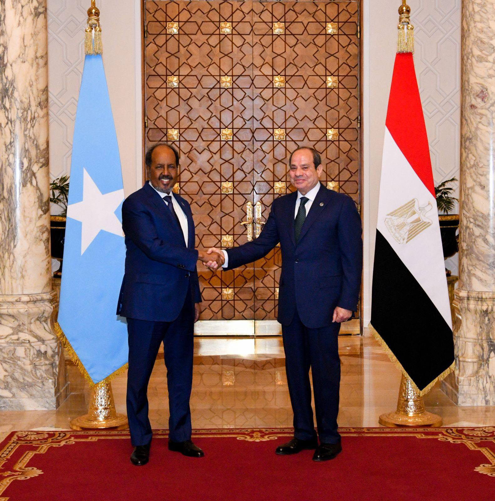 مصر في سباق لتعزيز حضورها ونفوذها الإفريقي