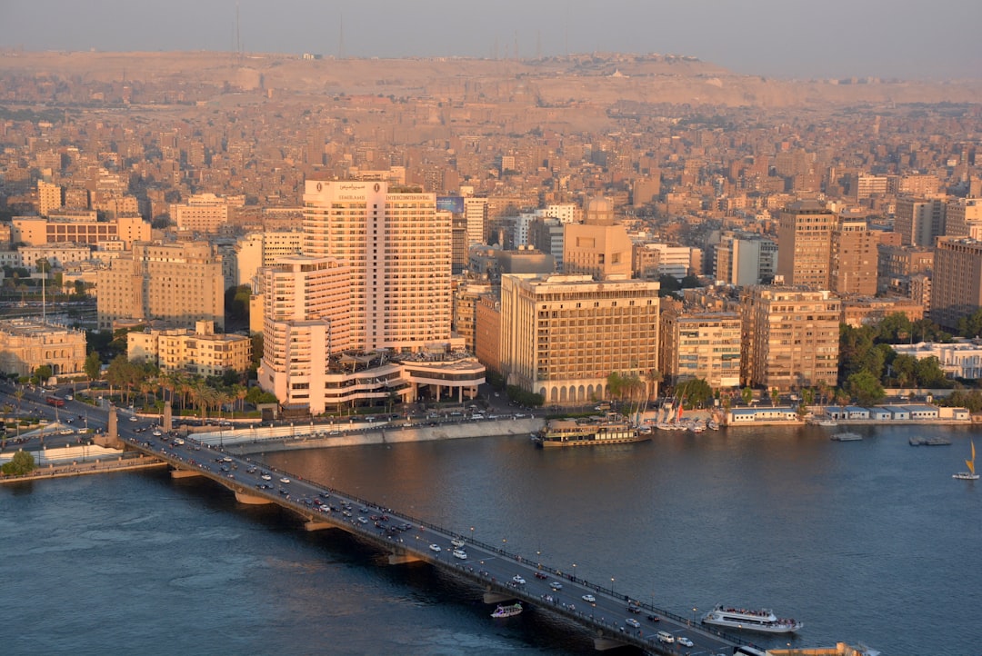 الكفاءة أولًا.. إنقاذ القطاع العام يبدأ من القيادات